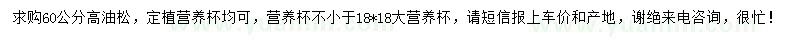 求購高60公分油松小苗