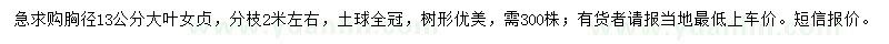 求購胸徑13公分大葉女貞