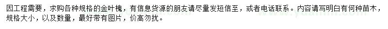 求購金葉槐
