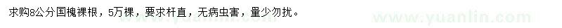 求購8公分國槐