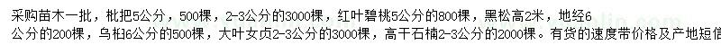 求購枇把樹、紅葉碧桃、黑松等