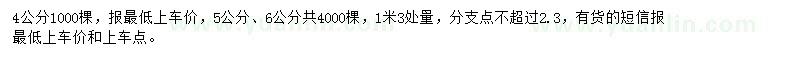 求購4、5、6公分廣玉蘭