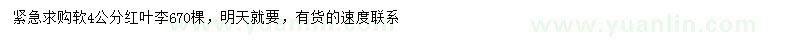 求購4公分紅葉李