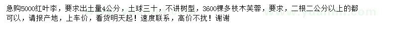 求購(gòu)紅葉李、木芙蓉