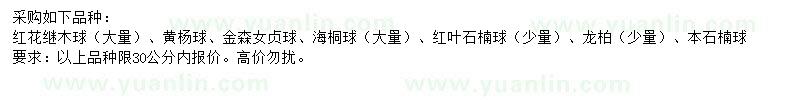 求購(gòu)紅花繼木球、黃楊球、金森女貞球等