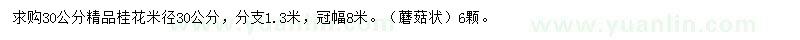 求購30公分精品桂花