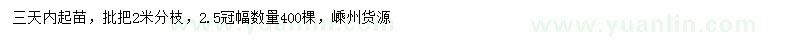 求購(gòu)2米枇杷