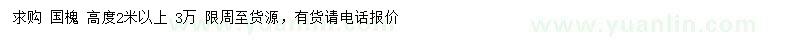 求購高2米以上國槐小苗