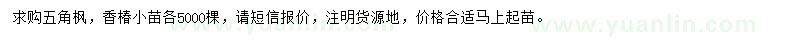 求購五角楓、香椿小苗