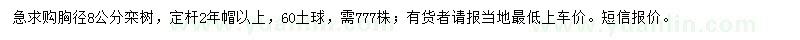 求購胸徑8公分欒樹