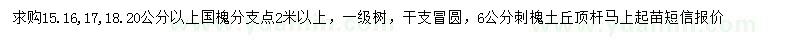 求購15、16、17、18、20公分以上國槐