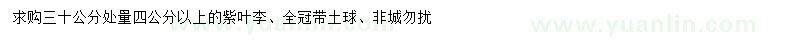 求購4公分以上紫葉李