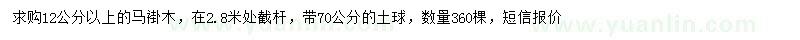 求購12公分以上馬褂木