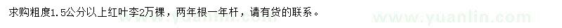 求購粗度1.5公分以上紅葉李