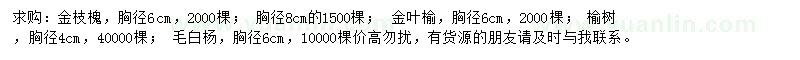 求購金枝槐、金葉榆、榆樹等