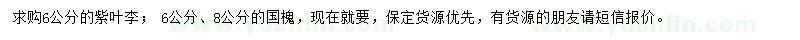 求購6公分紫葉李、6、8公分國(guó)槐