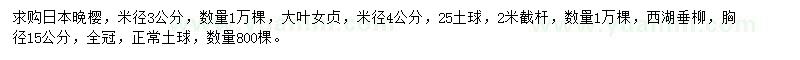 求購米徑3公分日本晚櫻