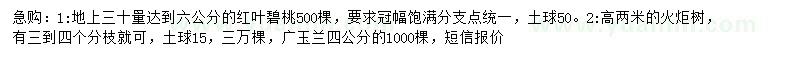 求購(gòu)紅葉碧桃、火炬樹(shù)、廣玉蘭