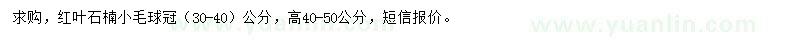 求購高40-50公分紅葉石楠球