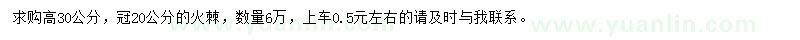 求購高30公分火棘