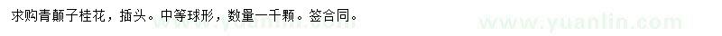 求購青顛子桂花