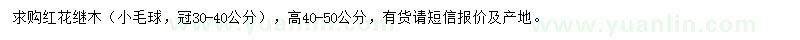 求購(gòu)高40-50公分紅花繼木球