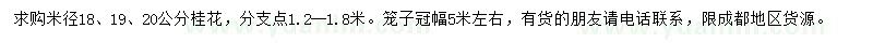 求購米徑18、19、20公分桂花