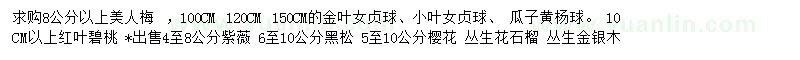 求購美人梅、金葉女貞球、小葉女貞球等