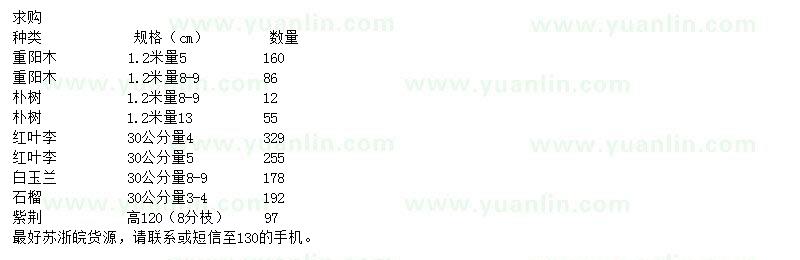 求購重陽木、樸樹、紅葉李等