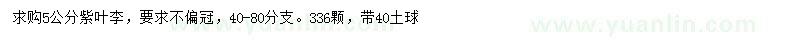 求購5公分紫葉李