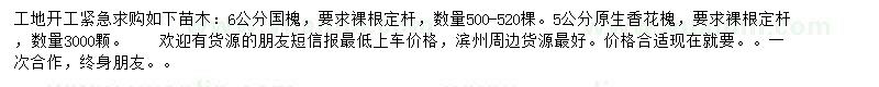 求購6公分國槐、5公分原生香花槐