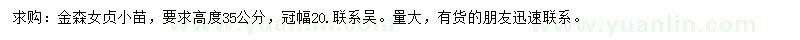 求購(gòu)高35公分金森女貞小苗