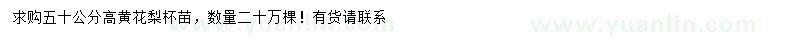 求購50公分高黃花梨小苗