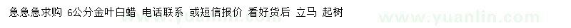求購(gòu)6公分金葉白蠟