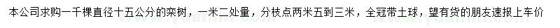 求購15公分欒樹