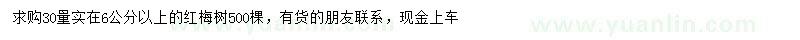 求購(gòu)30處量6公分以上紅梅樹(shù)