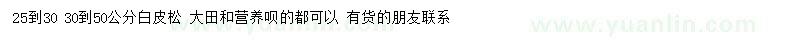 求購25-30、30-50公分白皮松