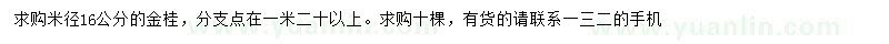 求購米徑16公分金桂
