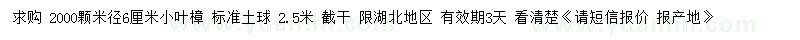 求購米徑6公分小葉樟