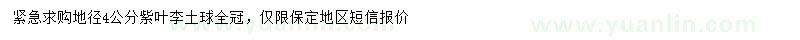 求購地徑4公分紫葉李