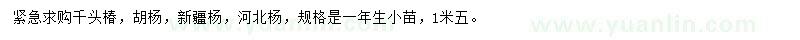 求購(gòu)千頭椿、胡楊、新疆楊等