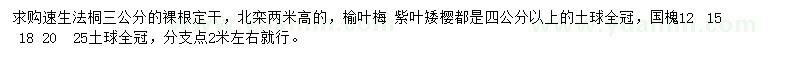 求購速生法桐、北欒、榆葉梅等