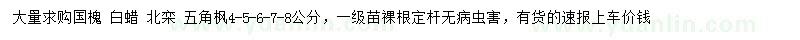 求購國槐、白蠟、北欒等