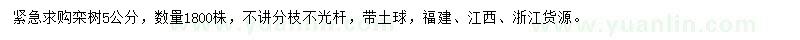 求購(gòu)5公分欒樹(shù)
