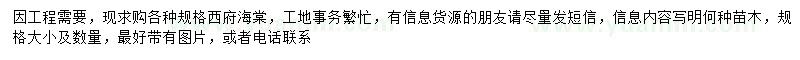 求購西府海棠