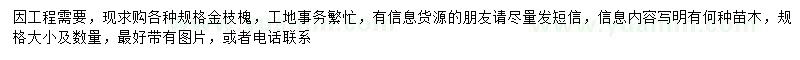 求購金枝槐