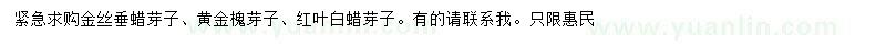 求購黃金槐、紅葉白蠟、金絲垂蠟