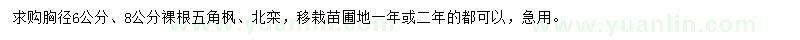 求購(gòu)胸徑6、8公分五角 楓、北欒