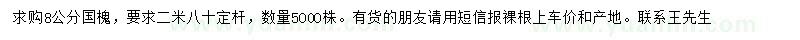 求購8公分國槐