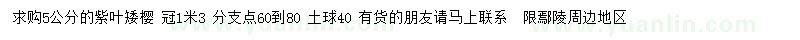 求購5公分紫葉矮櫻